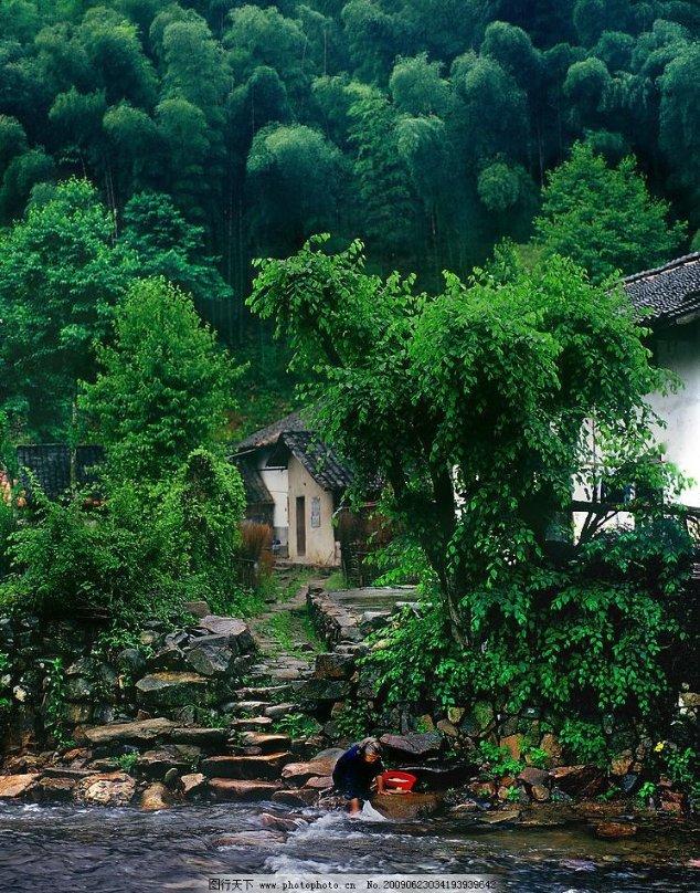 爱莲说