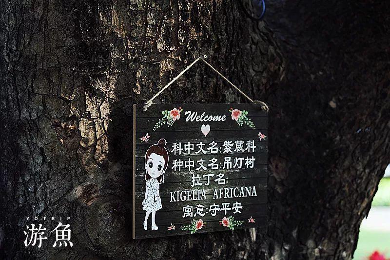 逃离梦想之家