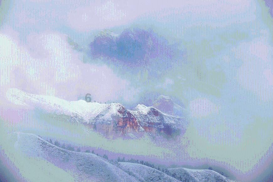 逃离梦想之家