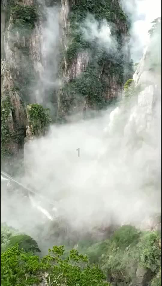 我的老师是偶像